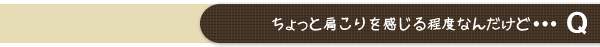 ちょっと肩こりを感じる程度なんだけど・・・