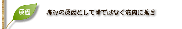 痛みの原因として骨ではなく筋肉に着目